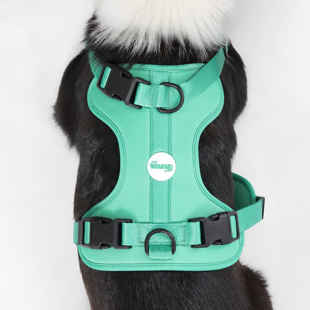 Adjustable Soft Padded No Pull Pet Harness with 3 Buckles and 3 Leash Clips