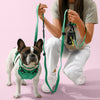 Adjustable Soft Padded No Pull Pet Harness with 3 Buckles and 3 Leash Clips