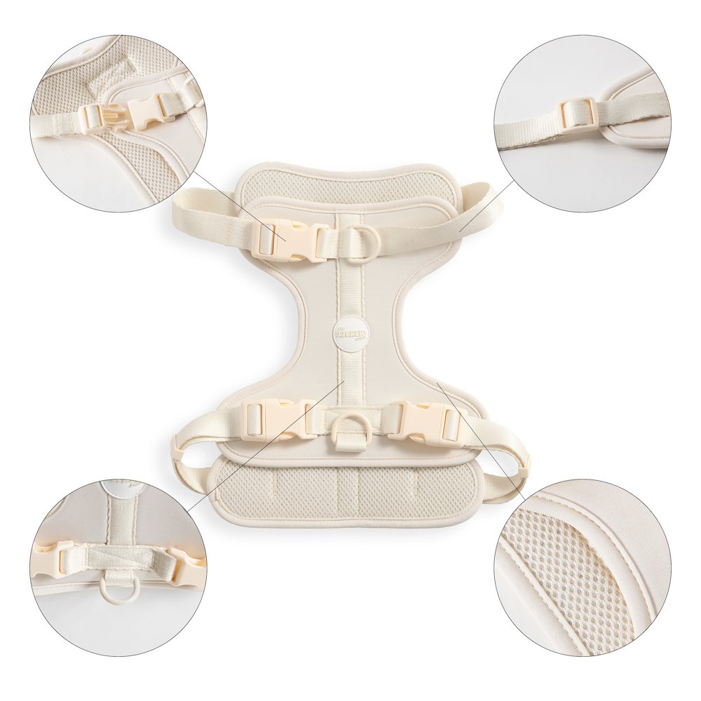 Adjustable Soft Padded No Pull Pet Harness with 3 Buckles and 3 Leash Clips