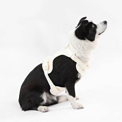 Adjustable Soft Padded No Pull Pet Harness with 3 Buckles and 3 Leash Clips