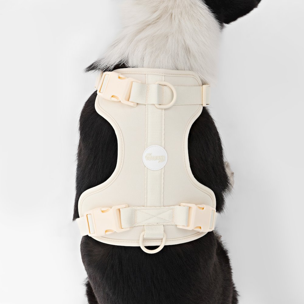Adjustable Soft Padded No Pull Pet Harness with 3 Buckles and 3 Leash Clips