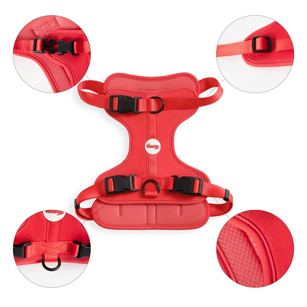 Adjustable Soft Padded No Pull Pet Harness with 3 Buckles and 3 Leash Clips