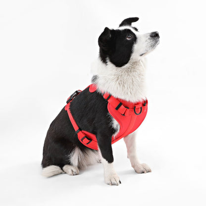 Adjustable Soft Padded No Pull Pet Harness with 3 Buckles and 3 Leash Clips