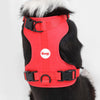 Adjustable Soft Padded No Pull Pet Harness with 3 Buckles and 3 Leash Clips