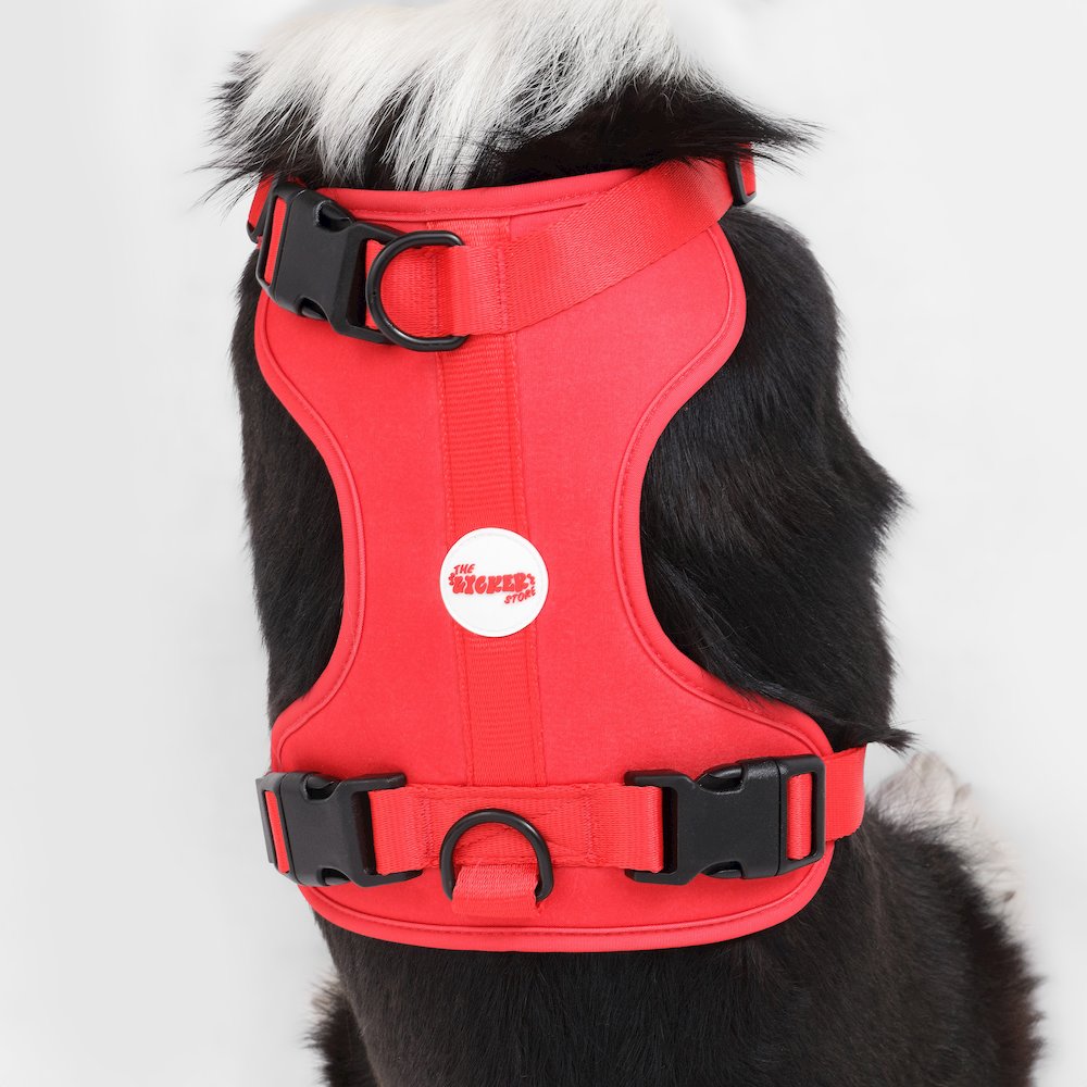 Adjustable Soft Padded No Pull Pet Harness with 3 Buckles and 3 Leash Clips