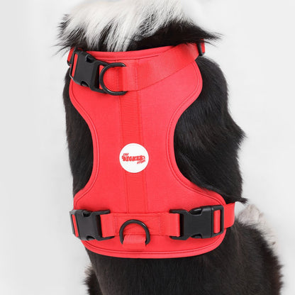 Adjustable Soft Padded No Pull Pet Harness with 3 Buckles and 3 Leash Clips