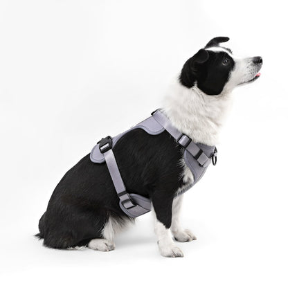 Adjustable Soft Padded No Pull Pet Harness with 3 Buckles and 3 Leash Clips