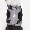 Adjustable Soft Padded No Pull Pet Harness with 3 Buckles and 3 Leash Clips