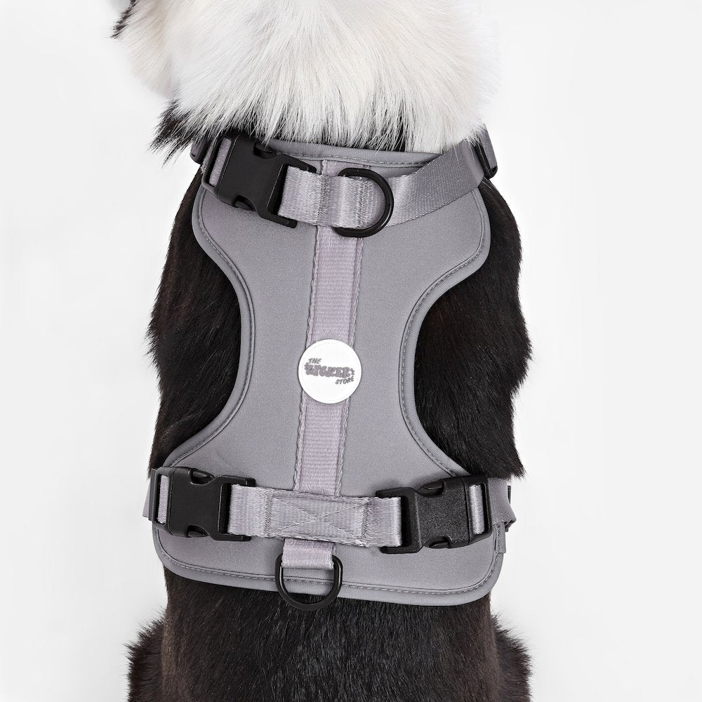 Adjustable Soft Padded No Pull Pet Harness with 3 Buckles and 3 Leash Clips