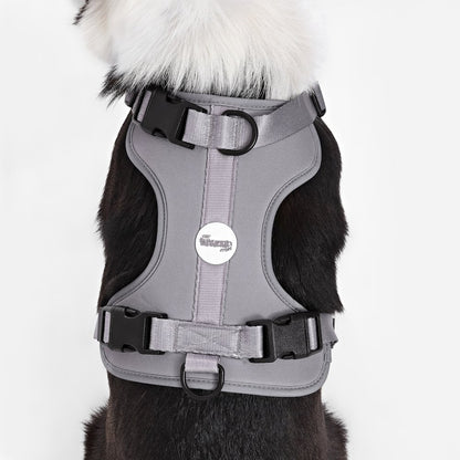 Adjustable Soft Padded No Pull Pet Harness with 3 Buckles and 3 Leash Clips