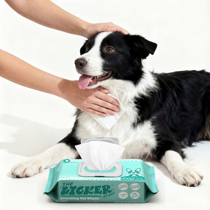 Biodegradable Dog Grooming Wipes with Aloe Vera & Shea Butter (400 Count)
