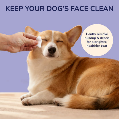 Dog Eye & Tear Stain Hypoallergenic Wipes (240 Count)