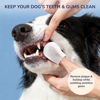 Dog Dental Finger Hypoallergenic Wipes with Aloe Vera (120 Count)