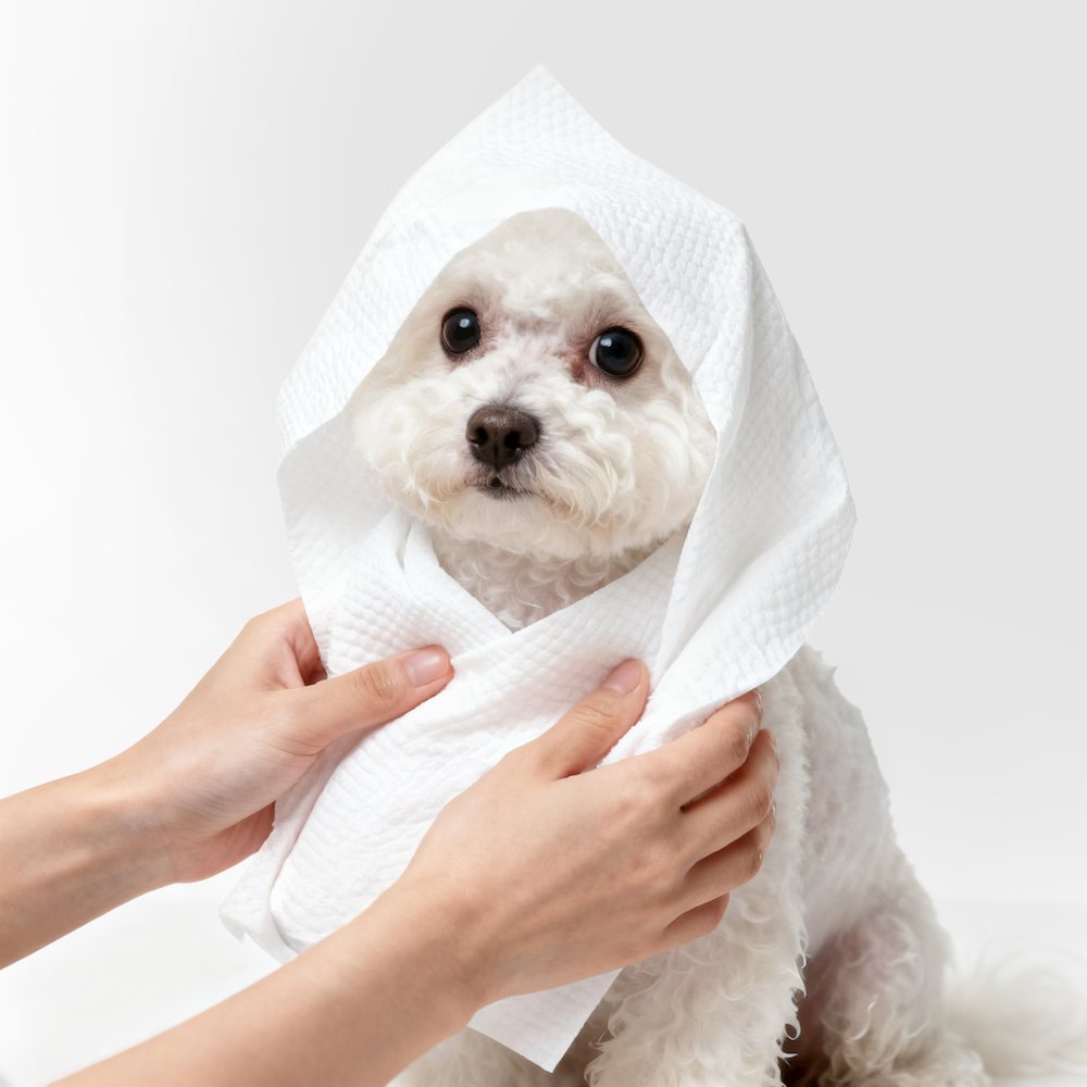 Dog Bath and Grooming Towels - Soft & Ultra-Absorbent (3 Count)