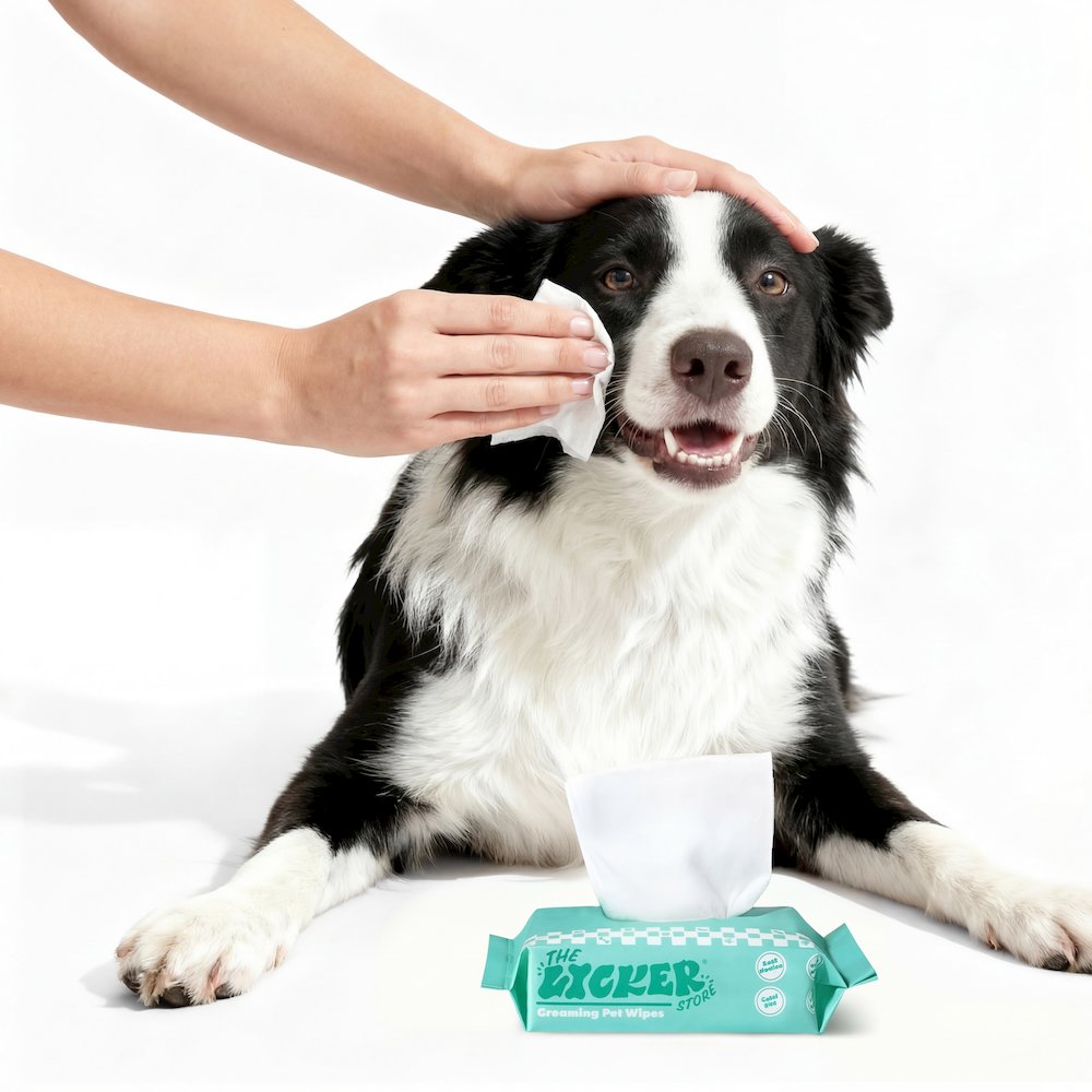 Mini Dog Body Hypoallergenic Wipes with Aloe Vera & Shea Butter (288 Count)