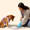 The Licker Store 13 in. x 9 in. Dog Poop Bags, Blue (1080 Count, 72-Rolls)
