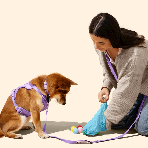The Licker Store 13 in. x 9 in. Dog Poop Bags, Blue (1080 Count, 72-Rolls)