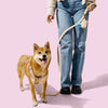 Teddy  Bouclé Adjustable H Harness and Leash Walk Set with Poop Bag Pouch