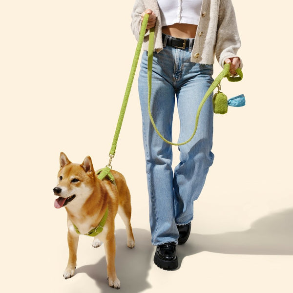Teddy  Bouclé Adjustable H Harness and Leash Walk Set with Poop Bag Pouch