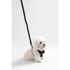 Teddy  Bouclé Adjustable H Harness and Leash Walk Set with Poop Bag Pouch