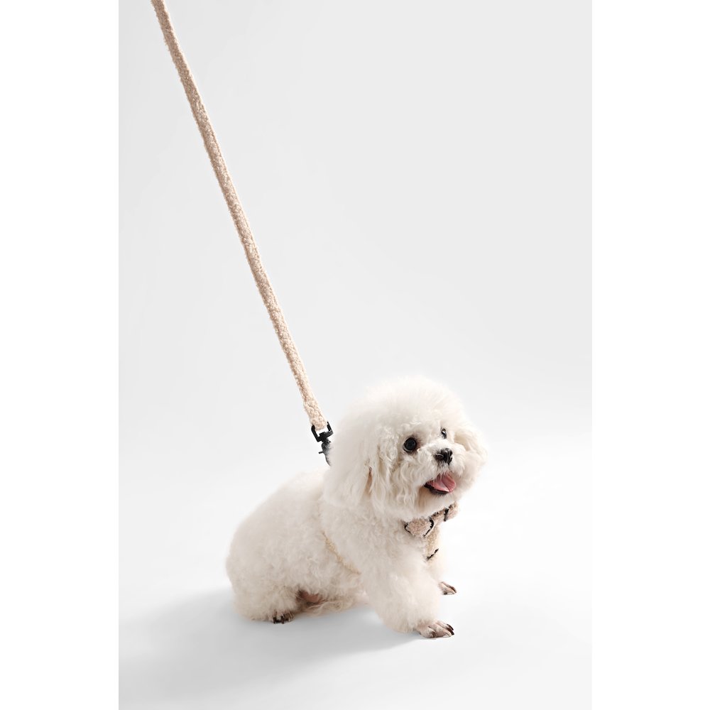 Teddy  Bouclé Adjustable H Harness and Leash Walk Set with Poop Bag Pouch