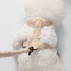 Teddy  Bouclé Adjustable H Harness and Leash Walk Set with Poop Bag Pouch