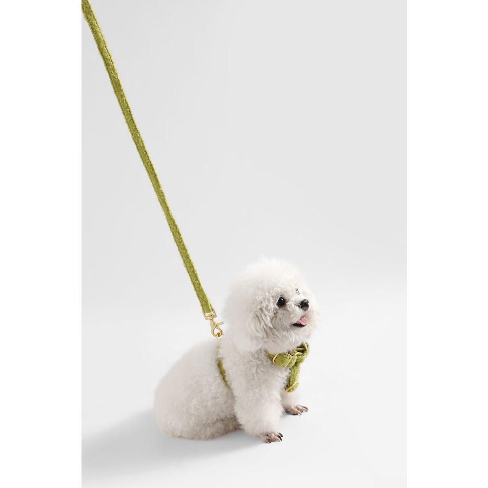 Teddy  Bouclé Adjustable H Harness and Leash Walk Set with Poop Bag Pouch