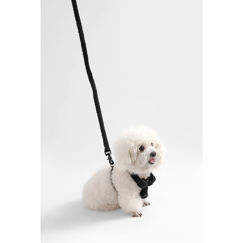 Teddy  Bouclé Adjustable H Harness and Leash Walk Set with Poop Bag Pouch