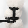 Teddy  Bouclé Adjustable H Harness and Leash Walk Set with Poop Bag Pouch