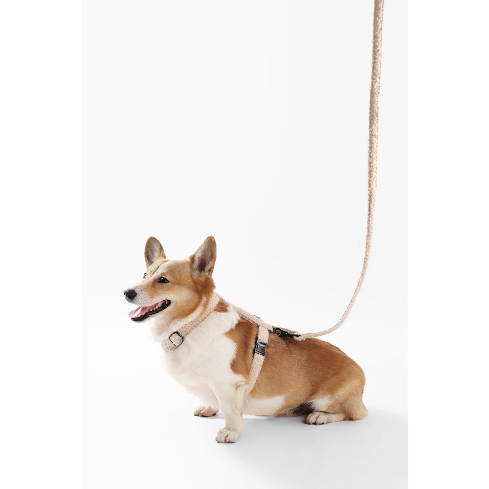 Teddy  Bouclé Adjustable H Harness and Leash Walk Set with Poop Bag Pouch