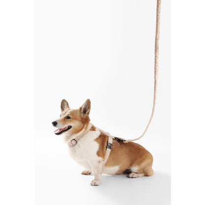 Teddy  Bouclé Adjustable H Harness and Leash Walk Set with Poop Bag Pouch
