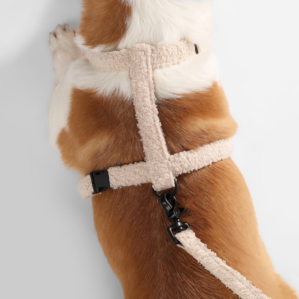 Teddy  Bouclé Adjustable H Harness and Leash Walk Set with Poop Bag Pouch