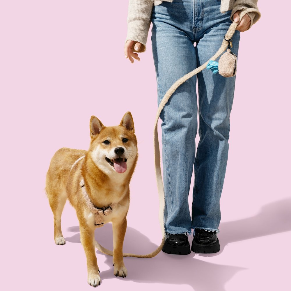 Teddy  Bouclé Adjustable H Harness and Leash Walk Set with Poop Bag Pouch