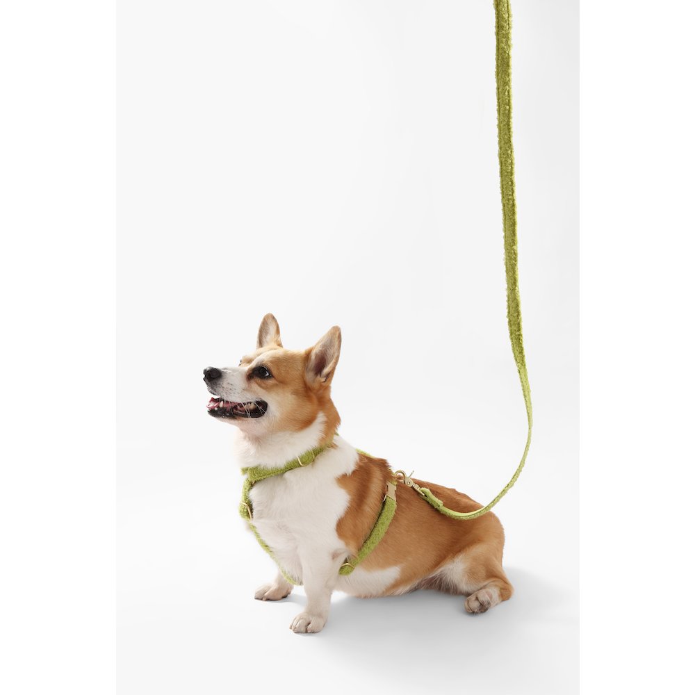 Teddy  Bouclé Adjustable H Harness and Leash Walk Set with Poop Bag Pouch