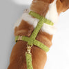 Teddy  Bouclé Adjustable H Harness and Leash Walk Set with Poop Bag Pouch