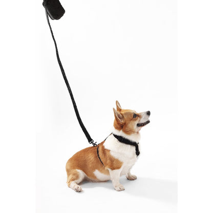 Teddy  Bouclé Adjustable H Harness and Leash Walk Set with Poop Bag Pouch