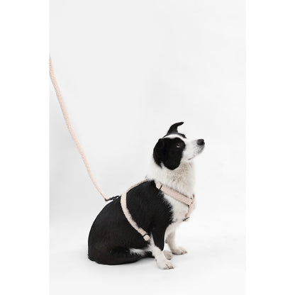 Teddy  Bouclé Adjustable H Harness and Leash Walk Set with Poop Bag Pouch