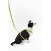 Teddy  Bouclé Adjustable H Harness and Leash Walk Set with Poop Bag Pouch