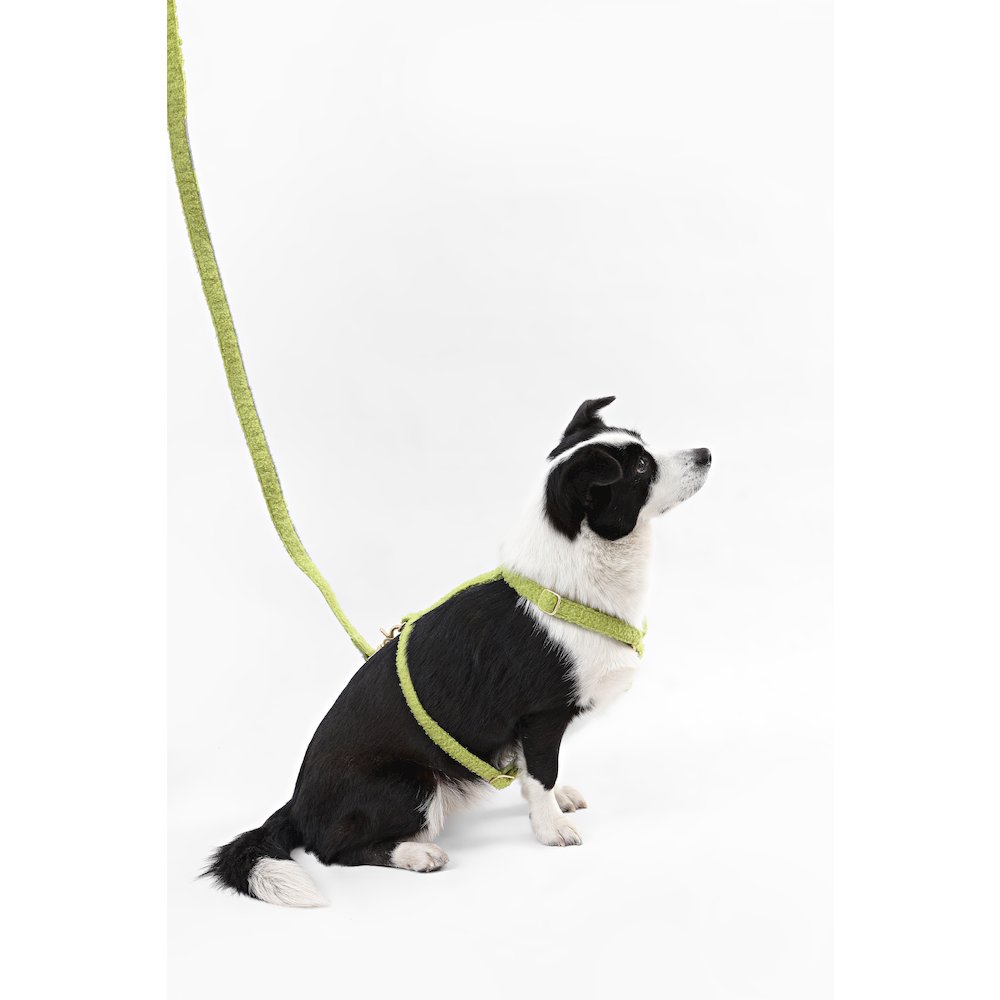 Teddy  Bouclé Adjustable H Harness and Leash Walk Set with Poop Bag Pouch