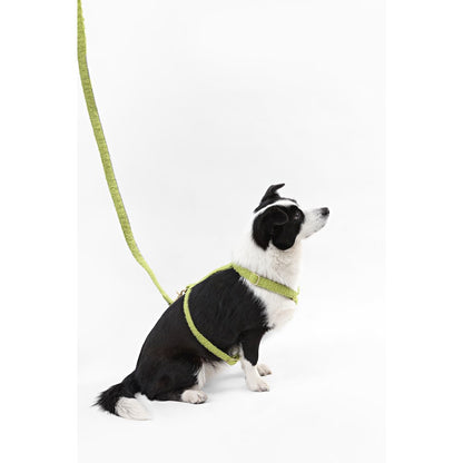 Teddy  Bouclé Adjustable H Harness and Leash Walk Set with Poop Bag Pouch