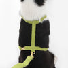 Teddy  Bouclé Adjustable H Harness and Leash Walk Set with Poop Bag Pouch