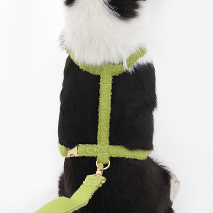 Teddy  Bouclé Adjustable H Harness and Leash Walk Set with Poop Bag Pouch
