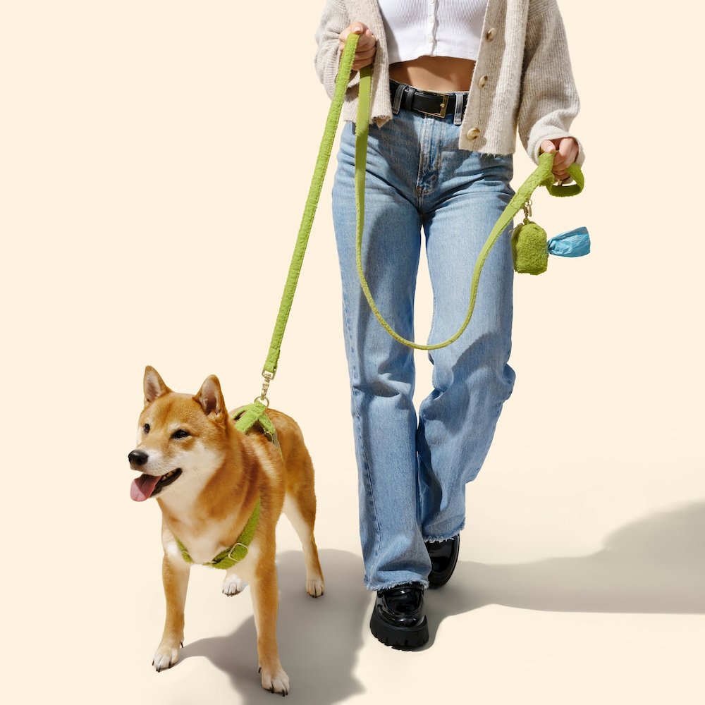 Teddy  Bouclé Adjustable H Harness and Leash Walk Set with Poop Bag Pouch