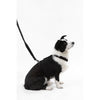 Teddy  Bouclé Adjustable H Harness and Leash Walk Set with Poop Bag Pouch