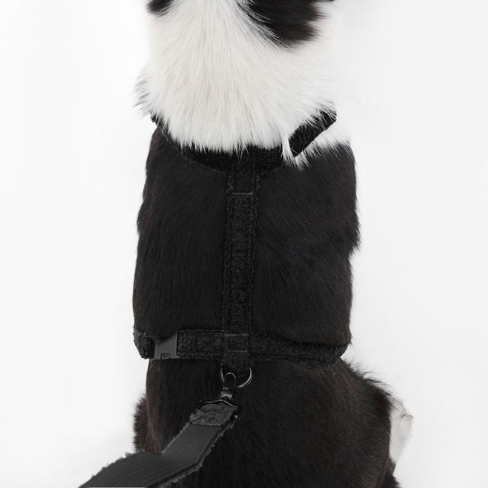 Teddy  Bouclé Adjustable H Harness and Leash Walk Set with Poop Bag Pouch
