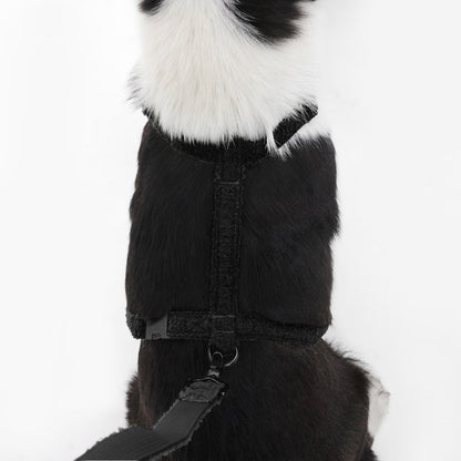 Teddy  Bouclé Adjustable H Harness and Leash Walk Set with Poop Bag Pouch