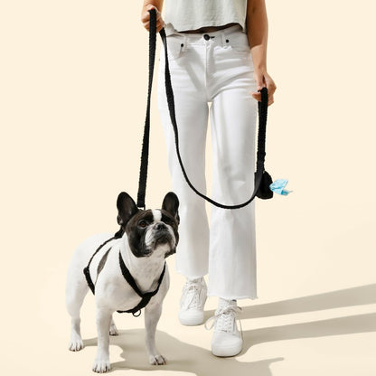 Teddy  Bouclé Adjustable H Harness and Leash Walk Set with Poop Bag Pouch
