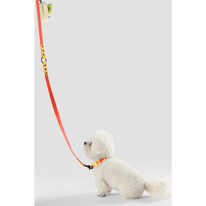Adjustable 6-in-1 Waterproof Hands-Free Leash and Collar with LED Flashlight