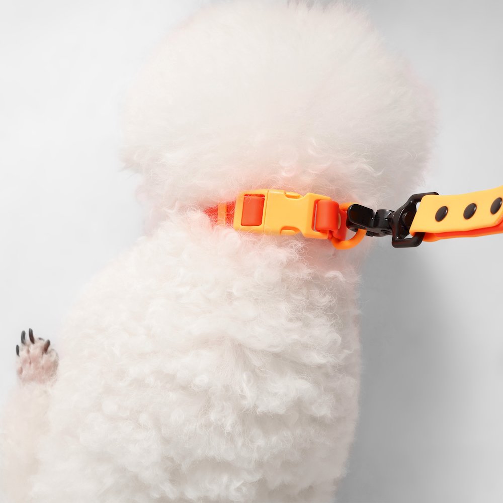 Adjustable 6-in-1 Waterproof Hands-Free Leash and Collar with LED Flashlight