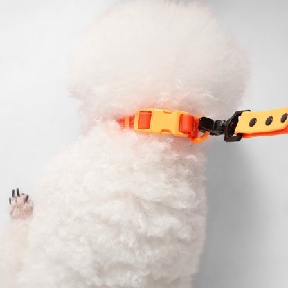 Adjustable 6-in-1 Waterproof Hands-Free Leash and Collar with LED Flashlight